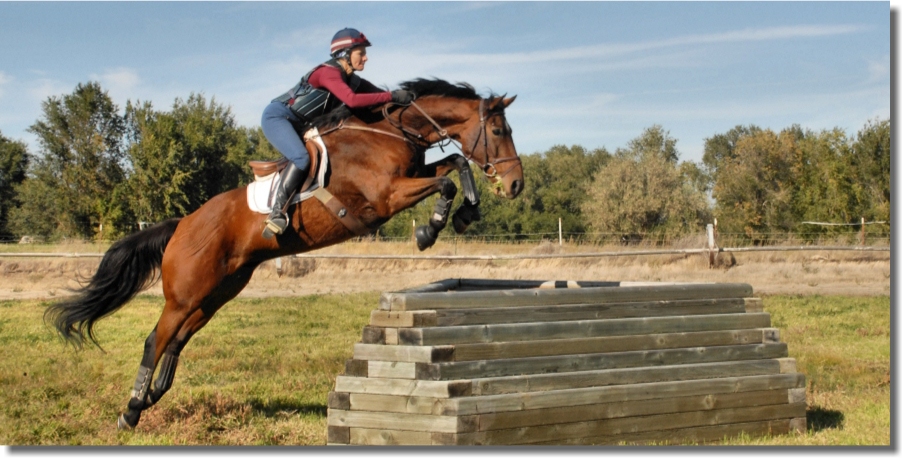 TulipSprings Three Day Eventing Facility