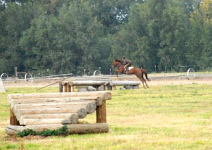Coco Jumps