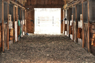 Barn aisle