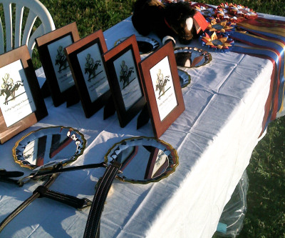 Prize Table
