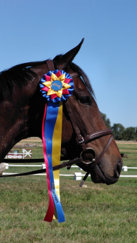 Winner